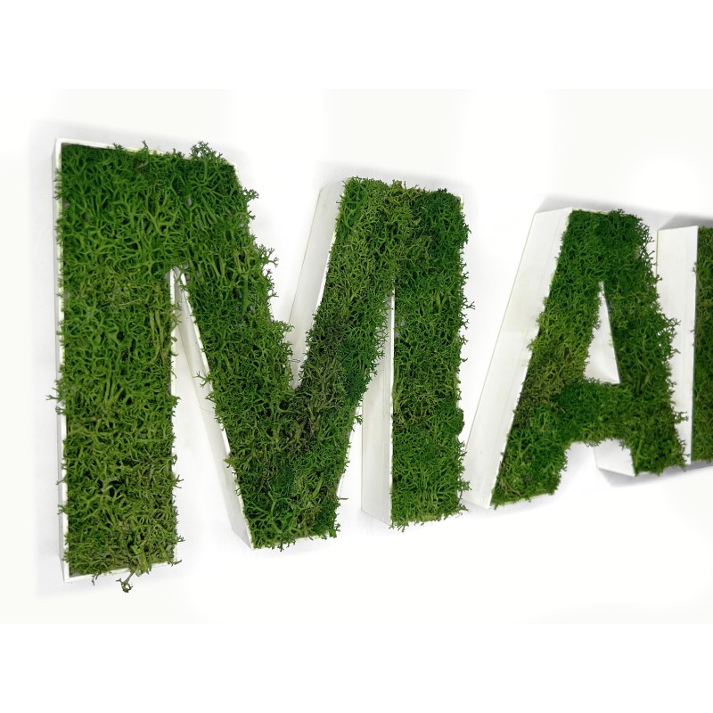 Sign Quote with Stabilized Lichen Sign Quote with Stabilized Lichen