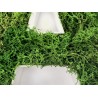 Sign Quote with Stabilized Lichen