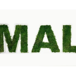 Sign Quote with Stabilized Lichen